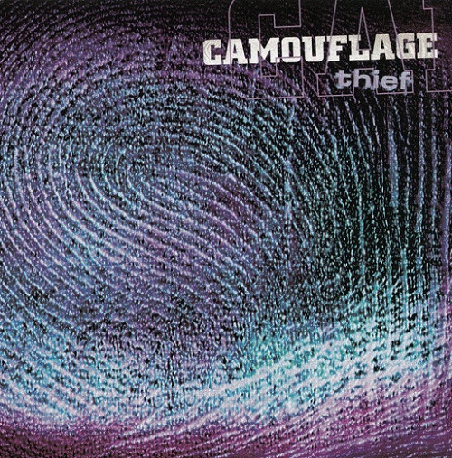 Camouflage Thief