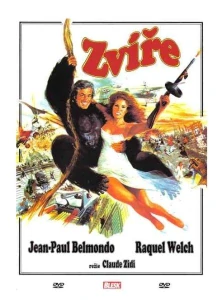 Zvíře