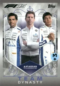 F1 WILLIAMS RACING Team Dynasty