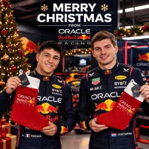 Vánoční punčocha RedBull