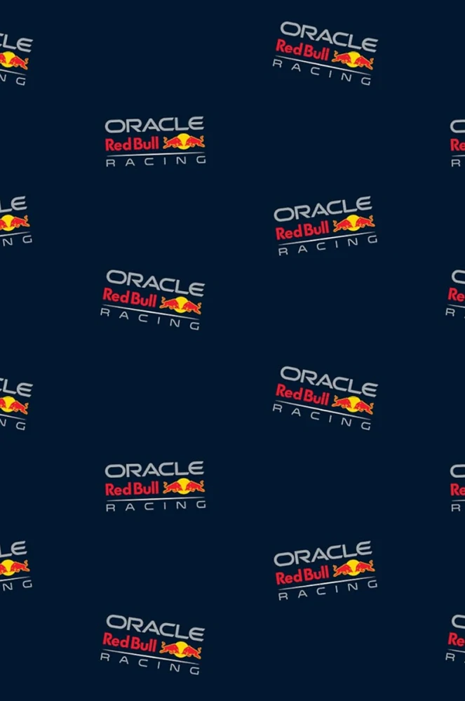 Originální deka Red Bull